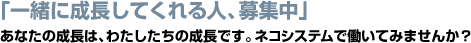 ネコシステムで働いてみませんか