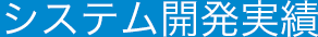 システム開発実績