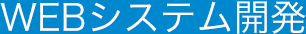 ウェブシステム開発